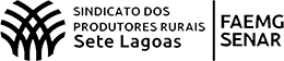 SINDICATO_logo
